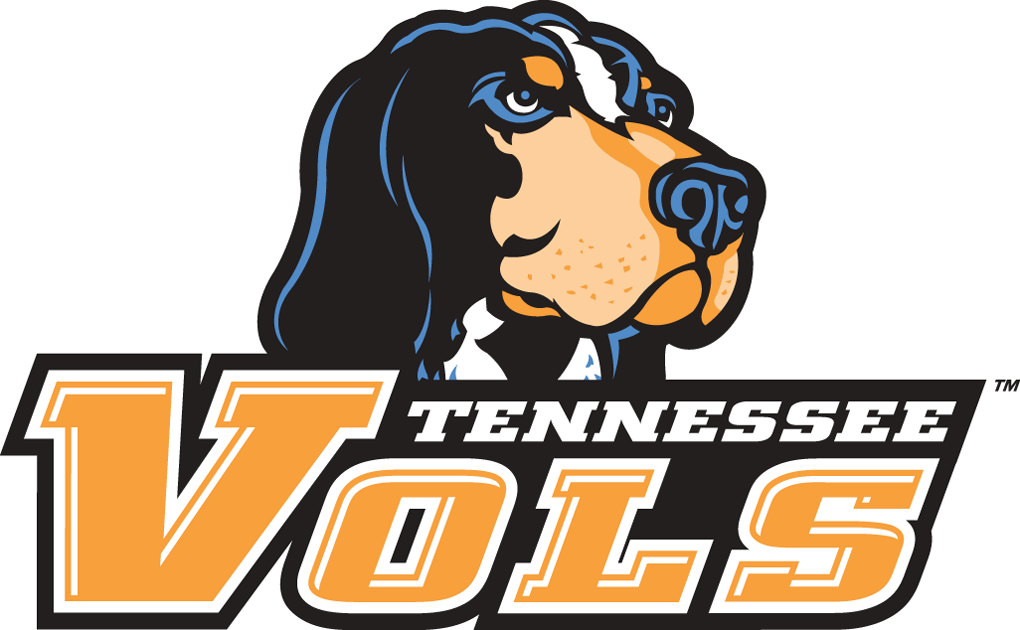 Tennessee Volunteers 2005-Pres Alternate Logo v2 diy fabric transfers